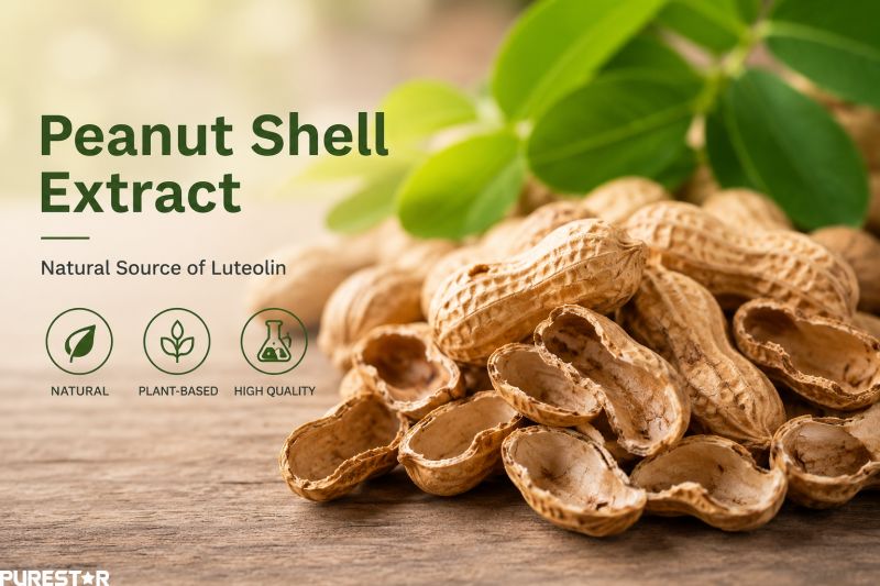 Peanut Shell Extract raw material image showing natural peanut shells as the botanical source of high purity luteolin powder for nutraceutical and antioxidant applications