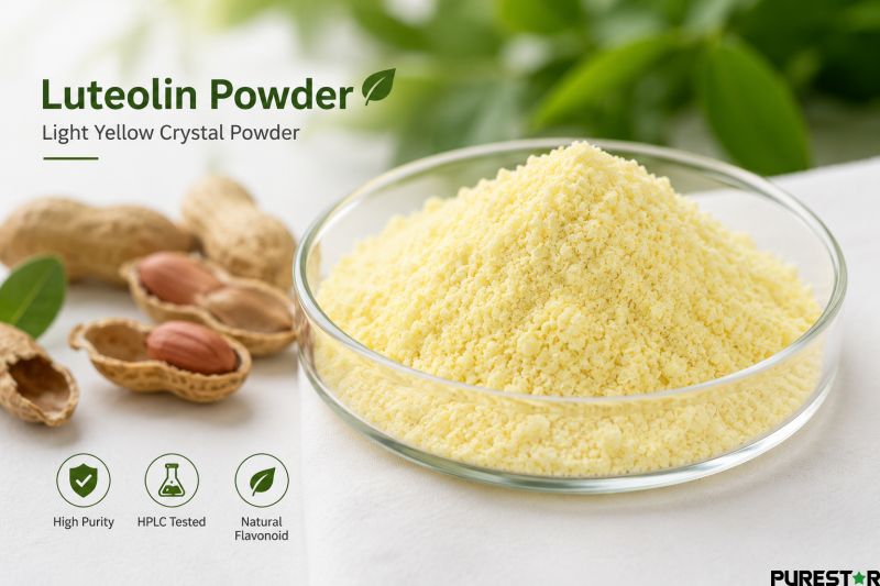 High purity luteolin powder in glass dish with peanut shells, HPLC tested peanut shell extract luteolin 98% natural flavonoid ingredient