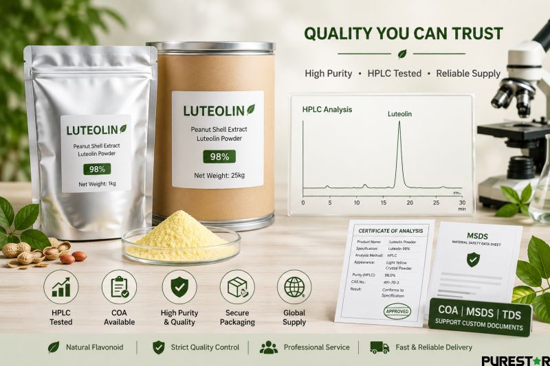 High purity luteolin powder packaging and quality control image featuring HPLC analysis, COA, MSDS, bulk supply packaging, and professional export standards
