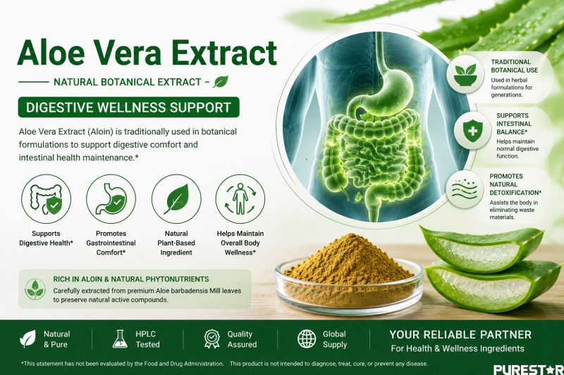 Aloe Vera Extract digestive wellness support ingredient for herbal supplements intestinal health and botanical nutrition products
