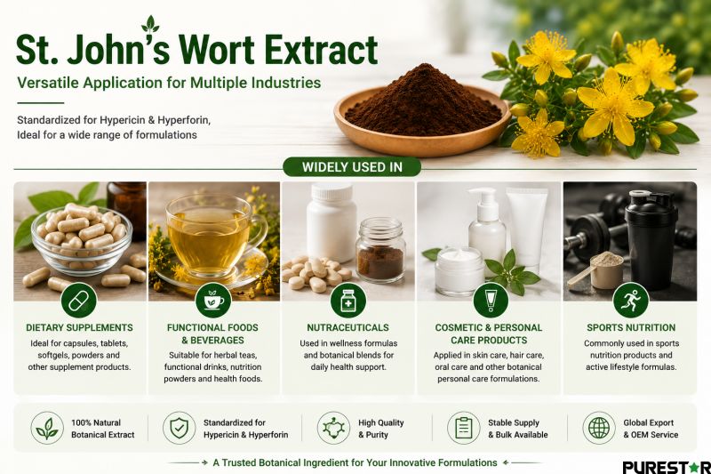 St. John’s Wort Extract application infographic for dietary supplements, nutraceuticals, herbal beverages, cosmetic formulations, and sports nutrition products