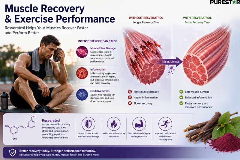 Resveratrol Supporting Muscle Recovery Reducing Exercise Related Oxidative Stress and Enhancing Athletic Performance