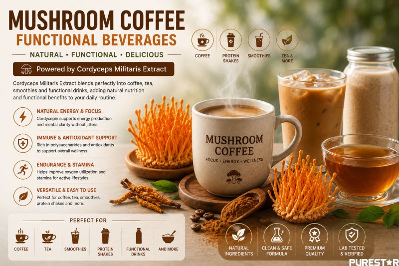 Cordyceps Militaris Extract mushroom coffee and functional beverage ingredient for daily wellness