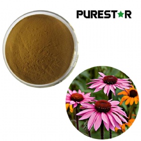 Echinacea Purpurea Extract