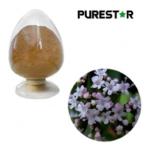 Valerian Extract, Valeric acids