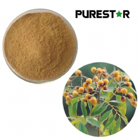 Soapnut Extract, Soapnut Saponins