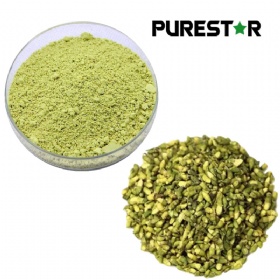 Sophora Japonica Flower Extract, Rutin