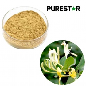 Honeysuckle Flower Extract, Chlorogenic acid