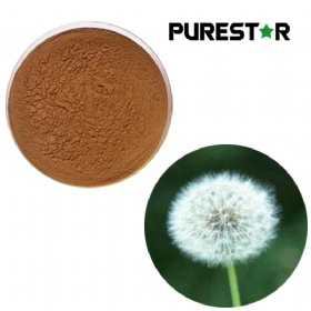 Dandelion Extract