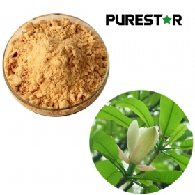 Magnolia Bark Extract