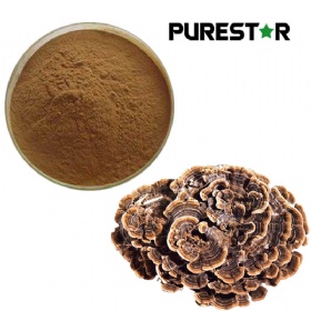 Coriolus Versicolor Extract