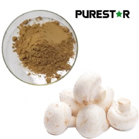 Agaricus Bisporus Extract