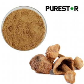 Agaricus Blazei Extract