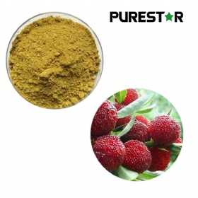 Bayberry Bark Extract