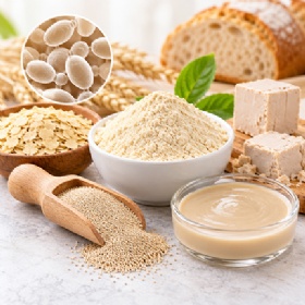 Yeast