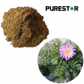 Pyrethrum Extract, Pyrethrin