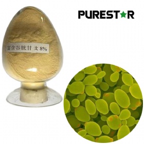 L-Glutathione Enriched Yeast Extracts