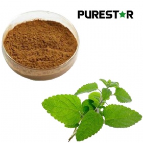 Lemon Balm Extract