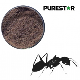 Black Ant Extract