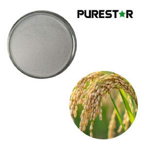 Rice Bran Wax Extract Octacosanol Policosanol