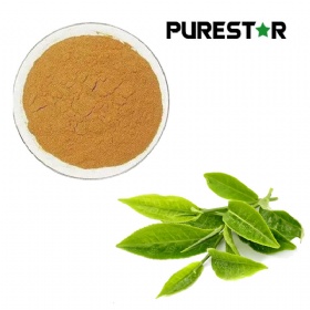 Green Tea Extract (Polyphenol, Catechins, EGCG)