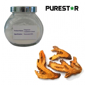 Giant Knotweed Extract Resveratrol