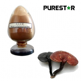 Ganoderma lucidum (Reishi) Extract, polysaccharides