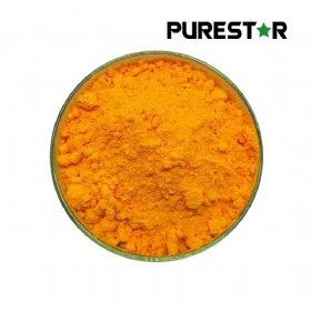 Coenzyme Q10