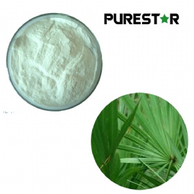 Saw Palmetto Extract