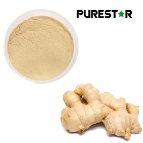 Ginger Extract Gingerols
