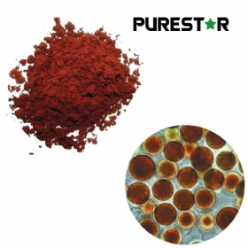 Haematococcus Pluvialis Extract, Astaxanthin