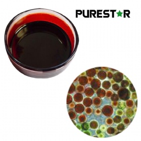 Astaxanthin Oil