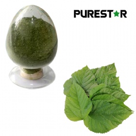 Sodium Iron Chlorophyllin