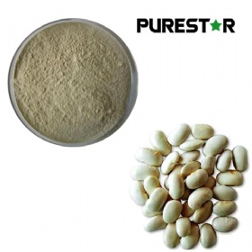 White Kidney Bean Extract, Phaseolin