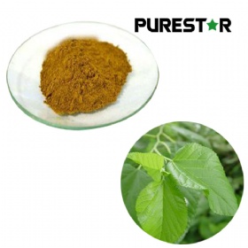 Mulberry leaf Extract, 1-Deoxynojirimycin (DNJ)
