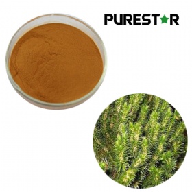 Huperzia Serrata Extract, Huperzine A