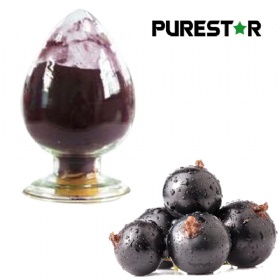 Black Currant Extract Anthocyanidin