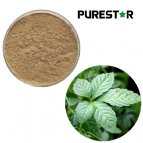 Gynostemma Pentaphyllum Extract, Gypenosides