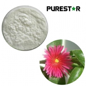 Andrographis Extract, Andrographolide