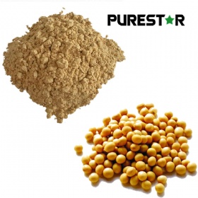 Soybean Extract, Isoflavones