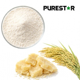 Rice Bran Wax Extract – Octacosanol & Policosanol Powder