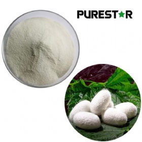 Silk Protein Powder, Fibroin